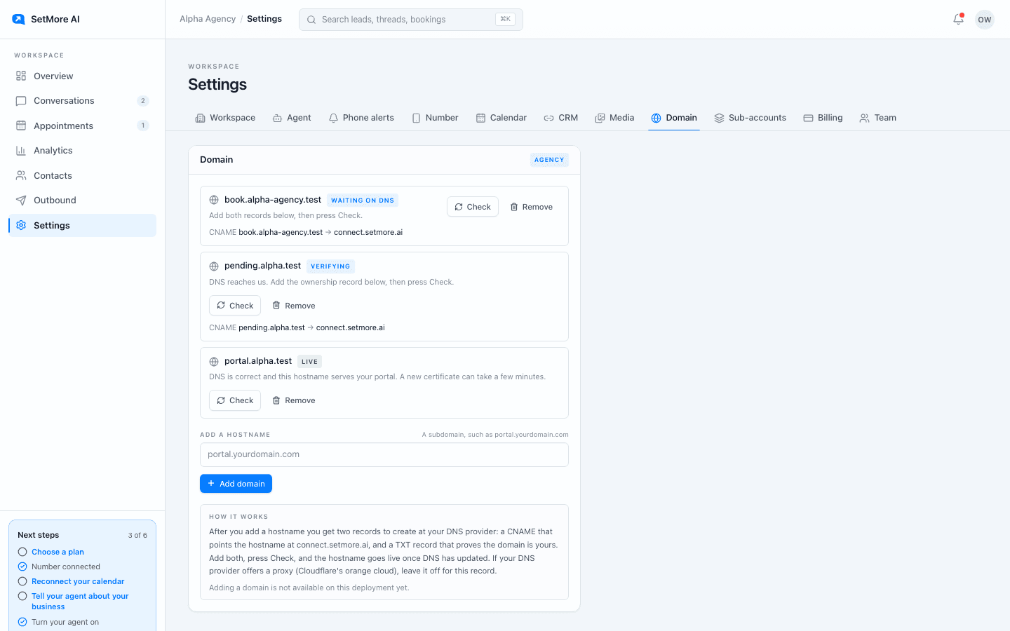 Settings, Domain tab with a live portal hostname, Check and Remove buttons, and the field to add another hostname.